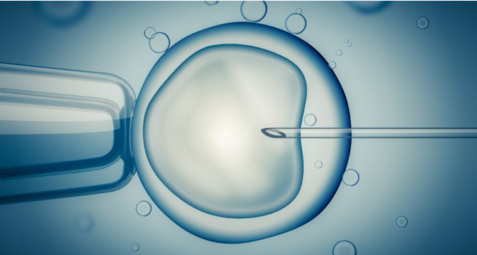 ماهو علاج تأخر الحمل